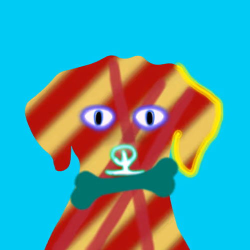 Q Doge404