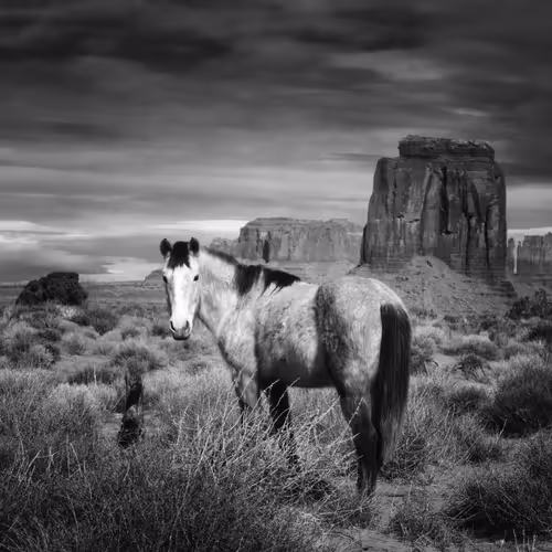 Kat Livengood Photography