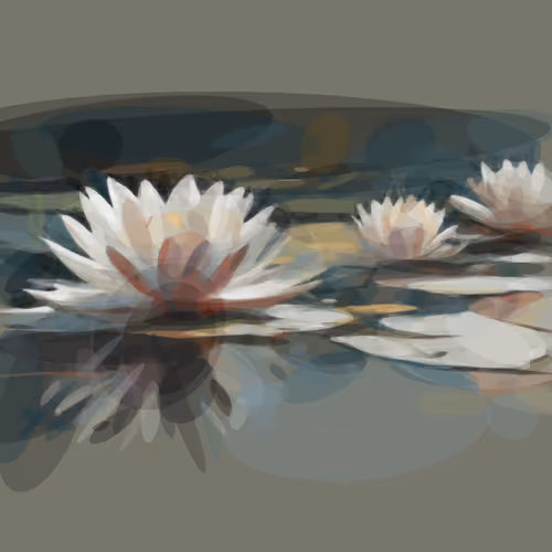 Aperture 53