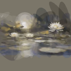 Aperture 67