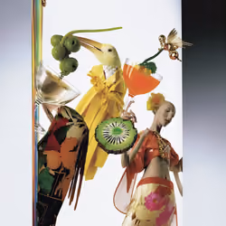 Funhouse Mirror #066