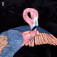 Contortions