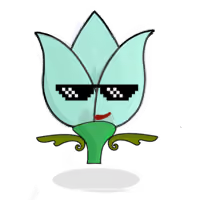Tulipa mediocris
