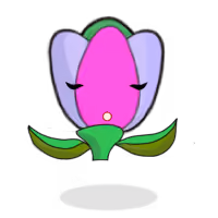 Tulipa trichroma