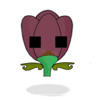 Tulipa plebeius