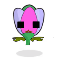 Tulipa trichroma
