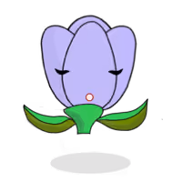 Tulipa chroma