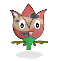 Tulipa da wae