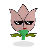 Tulipa trimyriadis