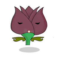 Tulipa plebeius