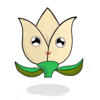 Tulipa mediocris
