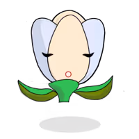 Tulipa dichroma