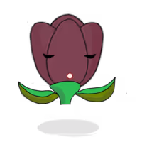 Tulipa plebeius