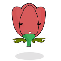Tulipa chroma