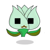 Tulipa chroma