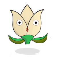 Tulipa mediocris