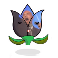 Tulipa WASSA WASSA WASSUP
