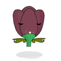 Tulipa plebeius