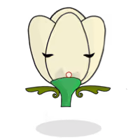 Tulipa plebeius