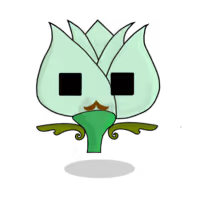 Tulipa chroma