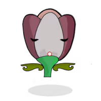 Tulipa trichroma