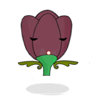 Tulipa plebeius