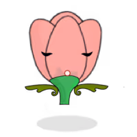 Tulipa plebeius