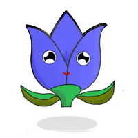 Tulipa mediocris