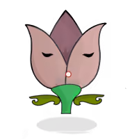 Tulipa dimyriadis