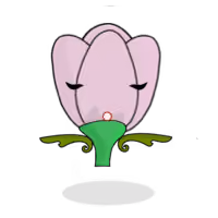 Tulipa chroma