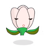 Tulipa chroma