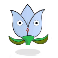Tulipa mediocris