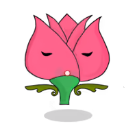 Tulipa chroma