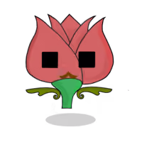 Tulipa chroma