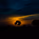 Artwork -