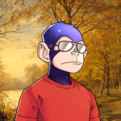 2467