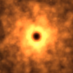 On the Edge of Oblivion #319 (SBT)