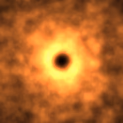 On the Edge of Oblivion #428 (SBT)