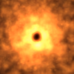 On the Edge of Oblivion #301 (SBT)