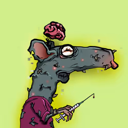 HANTA RATS #1182