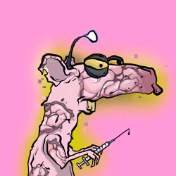 HANTA RATS #2538