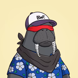 297