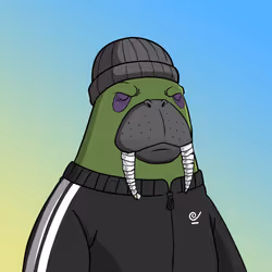 207