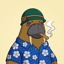 141