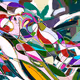 39700050017