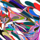 39700030019
