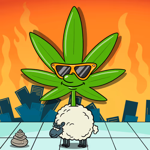Flwrs Official