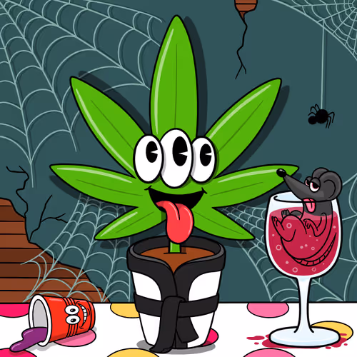 Flwrs Official