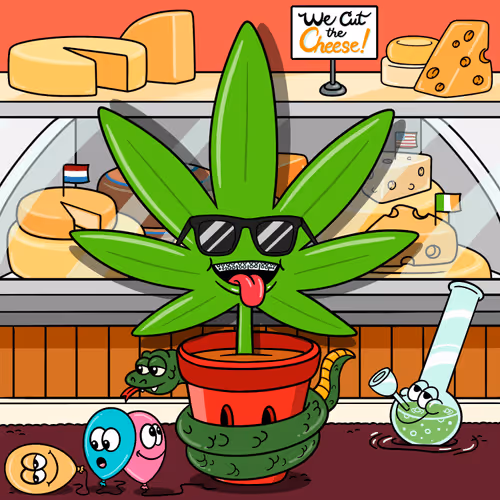 Flwrs Official