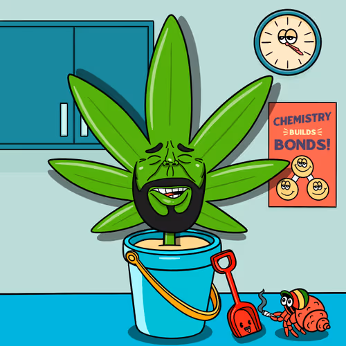 Flwrs Official